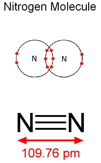 Nitrogen Molecule